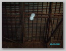 pict1371.jpg
