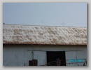 pict1433.jpg