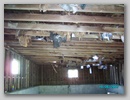pict1514.jpg