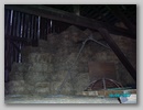 pict1557.jpg